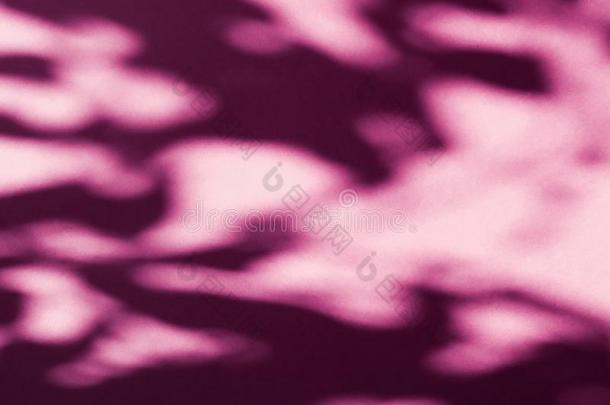 抽象的艺术,植物学的阴影覆盖向脸红粉红色的背景