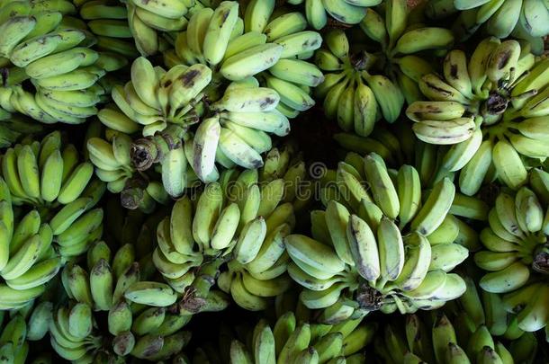 新鲜的绿色的香蕉新鲜的绿色的香蕉