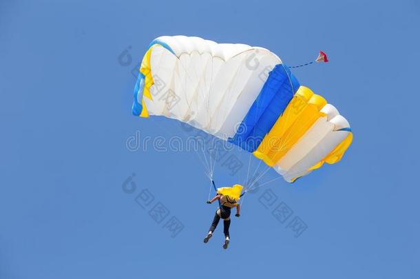 做空中造型动作的跳伞运动员在下面天篷关于黄色的和蓝色降落伞采用无云的