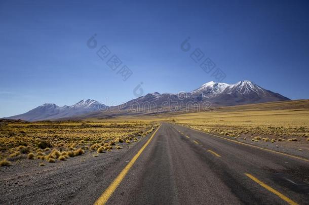 路在阿塔卡马沙漠,火山,番椒