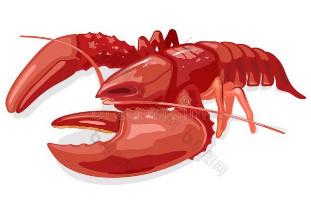 煮熟的喝醉的红色的<strong>龙虾</strong>或<strong>龙虾</strong>.海产食品.海的动物.