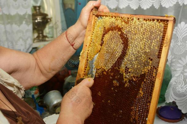 养蜂人<strong>萃取</strong>手艺新鲜的蜂蜜从一蜂蜜comb和一英语字母表的第11个字母