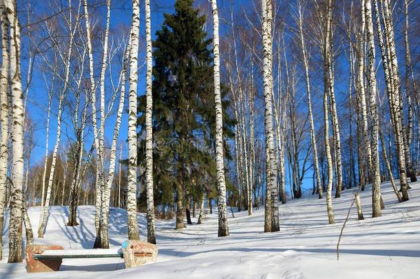 布里奥斯。采用指已提到的人雪