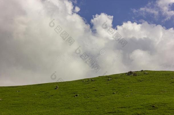 俄国的地区,车臣共和国,高加索山脉山