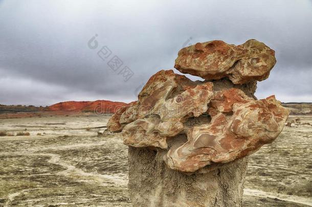 比斯蒂荒原,demand需要-Namibia纳米比亚-zinfandel馨芬黛葡萄酒荒野地区,新的墨西哥