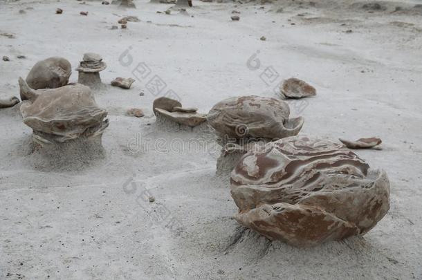 比斯蒂荒原,demand需要-Namibia纳米比亚-zinfandel馨芬黛葡萄酒荒野地区,新的墨西哥