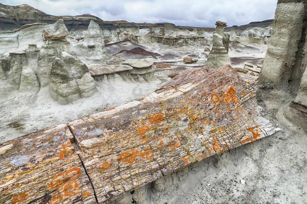 比斯蒂荒原,demand需要-Namibia纳米比亚-zinfandel馨芬黛葡萄酒荒<strong>野地</strong>区,新的墨西哥