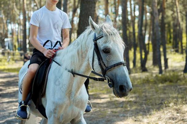 关在上面关于白色的马跑步和十几岁的骑手男孩