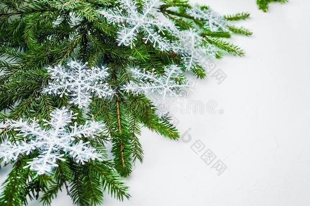 圣诞节装饰.框架关于圣诞节树树枝,和白色的