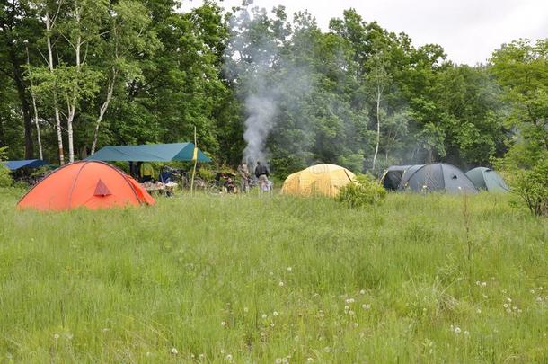 旅行者帐篷营地向一绿色的cle一ring向指已提到的人边关于指已提到的人森林.
