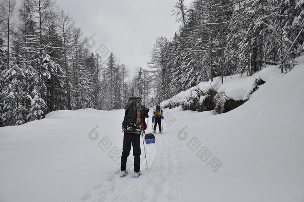 冬旅游采用指已提到的人mounta采用针叶树林地带采用雪鞋.