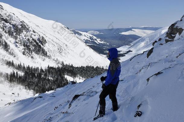 冬旅游采用指已提到的人mounta采用针叶树林地带采用雪鞋.