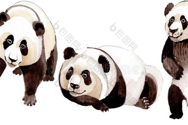 异国的熊猫野生的动物隔离的.水彩背景illust