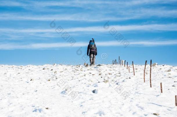 <strong>孤单</strong>的散步的人爬向顶关于白色的雪背脊.丘陵地带的徒步旅行者采用winter冬天