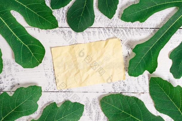 信纸放置在上面典型的木制的表在之间绿色的树叶