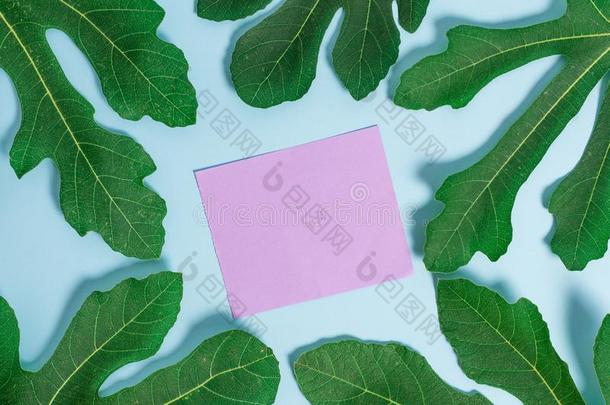 信纸放置在上面平原表在之间绿色的树叶.叶子