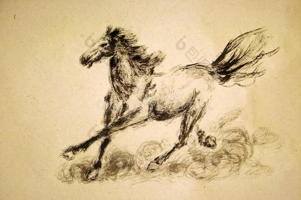 干的干燥的刷子绘画关于马