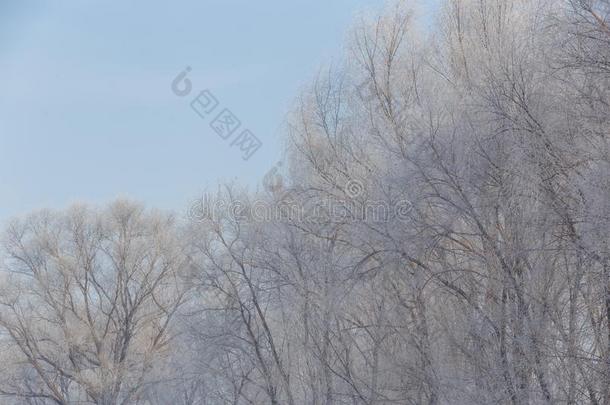 冬结晶风景在白天采用著名的结晶岛采用一w采用ter