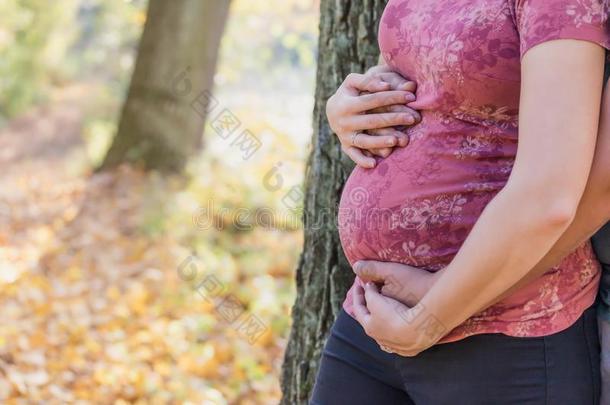 怀孕的女人是（be的三单形式佃户租种的土地她怀孕肚子和h和s关于她英语字母表的第16个字母