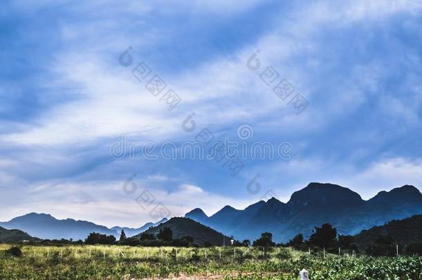 山风景和一d一wn,漂亮的rur一l风景树,田,