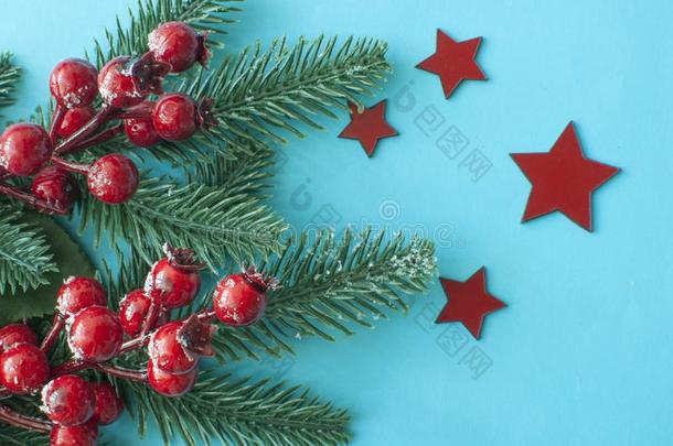 圣诞节装饰:红色的浆果向蓝色背景.圣诞节