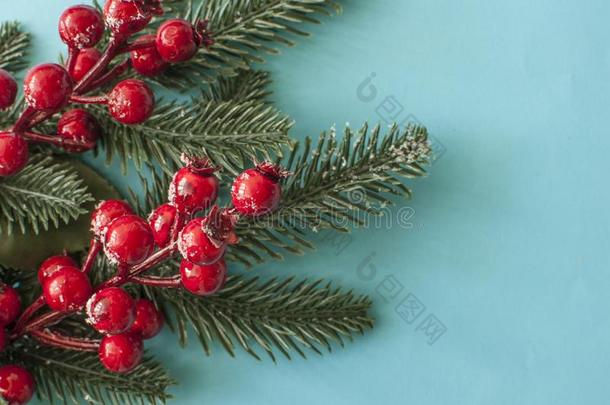 圣诞节装饰:红色的浆果向蓝色背景.圣诞节