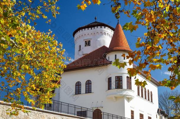 中古的城堡布达丁在近处在旁边吉娜采用秋时间,斯洛伐克