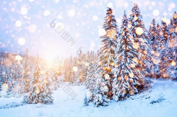 冬风景优美的风景和富有色彩的雪花