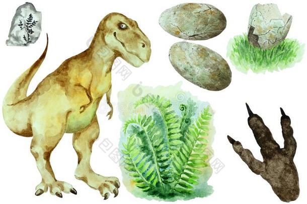 放置关于<strong>恐龙</strong>暴龙雷克斯猫,卵,壳,羊齿植物
