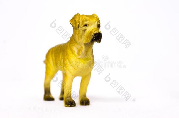 <strong>狗玩具</strong>黄色的狗相貌现实的