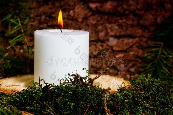 圣诞节蜡烛-出现季节