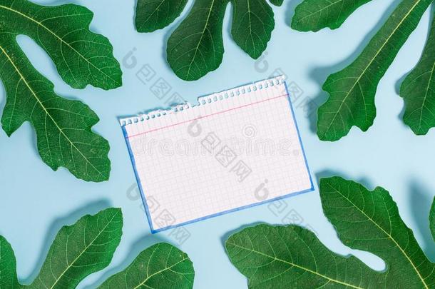 信纸放置在上面平原表在之间绿色的树叶.叶子