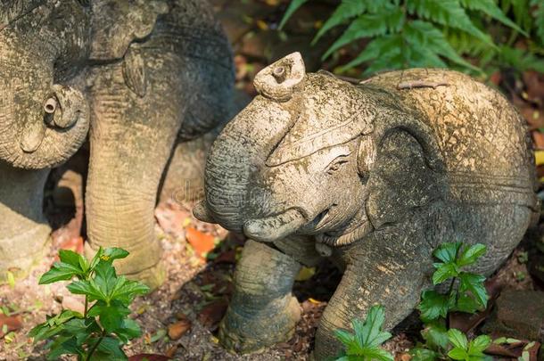 指已提到的人动物雕像用过的向装饰指已提到的人花园.泰国