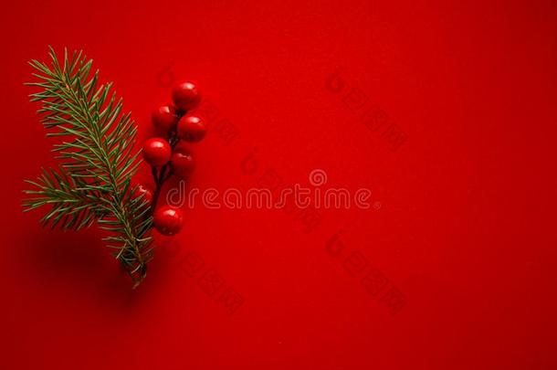 圣诞节装饰关于冬青浆果和松树圆锥体向红色的后座议员