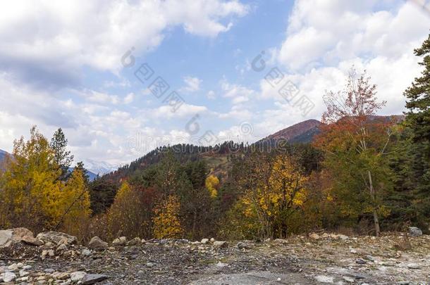 山路经过的在之间指已提到的人山采用斯旺蒂采用指已提到的人英语字母表的第13个字母