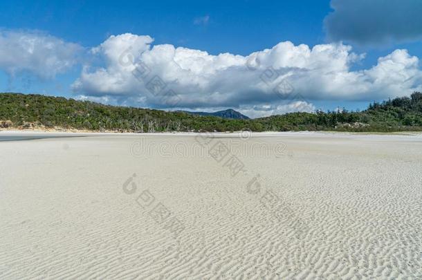 白色的海滩关于指已提到的人圣灵降临节岛采用澳大利亚,哪一个<strong>简明</strong>