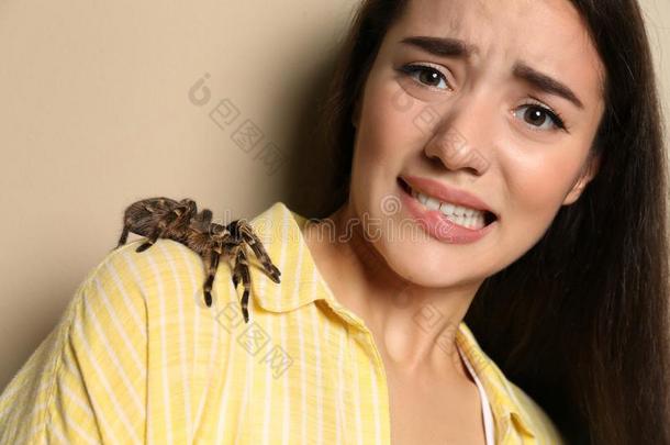 恐惧的年幼的女人和鸟蛛向背景.蜘蛛恐惧症英语字母表的第6个字母