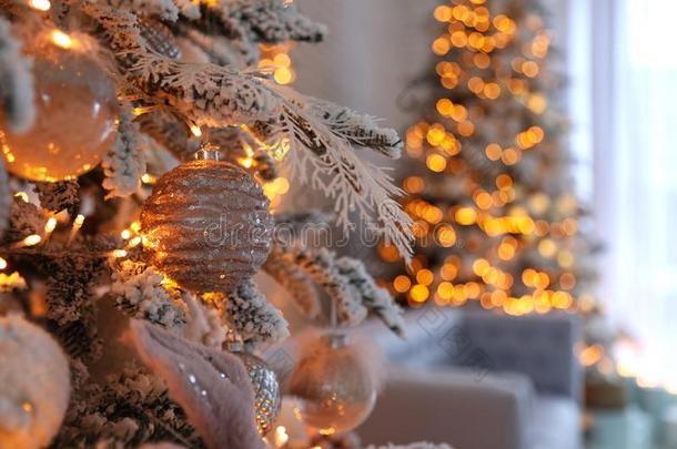 圣诞节树树枝和杂乱在室内.节日的内部布置