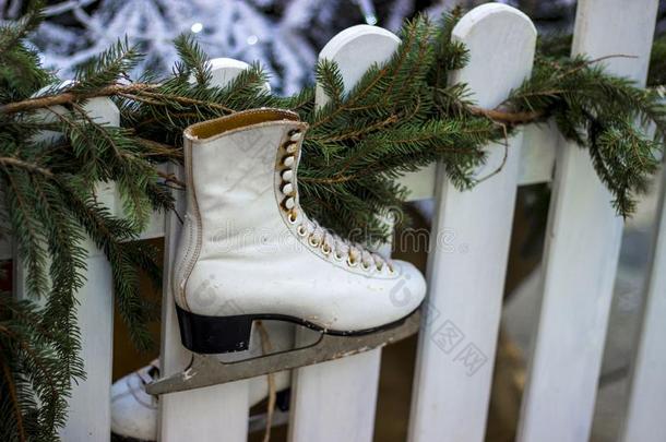 白色的冰溜冰鞋同样地Christm同样地装饰和松树.