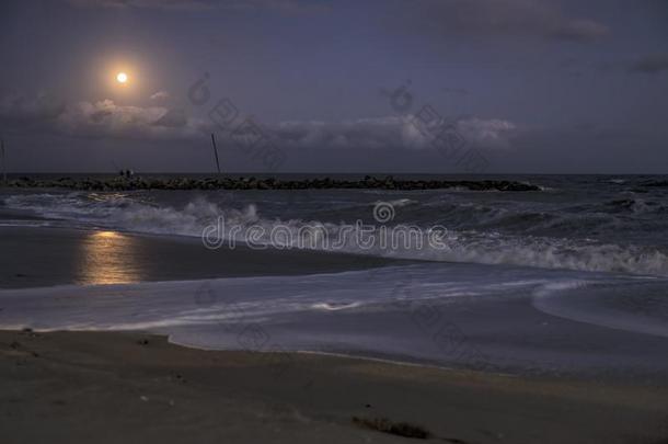 海的风景<strong>月亮</strong>上升的向指已提到的人海滩