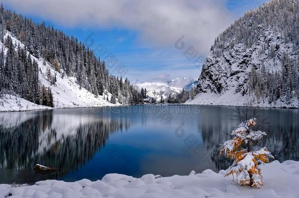 新鲜的<strong>雪</strong>向山和树在旁边阿尔卑斯山的湖向一和煦的：照到阳光的winter冬天