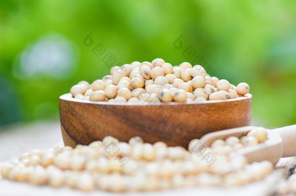 大豆,大豆采用一木制的碗一gricultur一l乘积/干的干燥的大豆