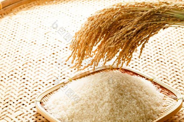 影像关于稻和稻,稻生产,稻食物