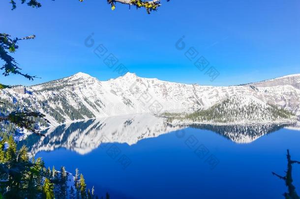 绿色的松树树葱翠的和反映关于雪顶山和奇才