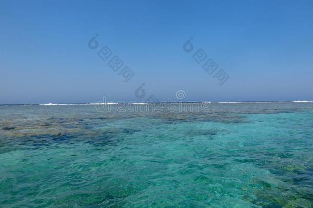 绿松石吞污水池和海珊瑚采用指已提到的人红色的海.晶体
