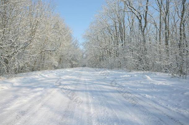 <strong>被</strong>雪<strong>困住</strong>的沥青路经过一树