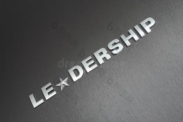 观念关于领导,领袖,动机和指导.单词草地