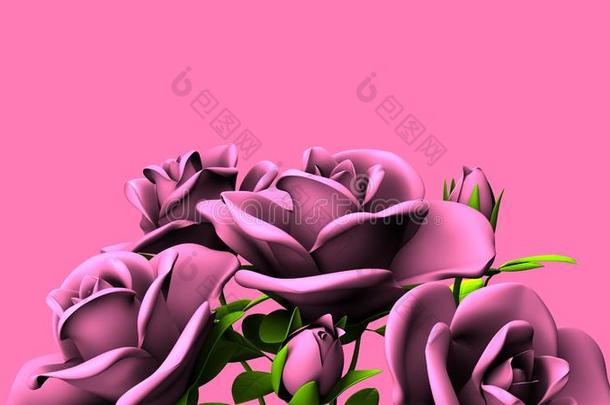 粉红色的玫瑰花束向粉红色的文本空间