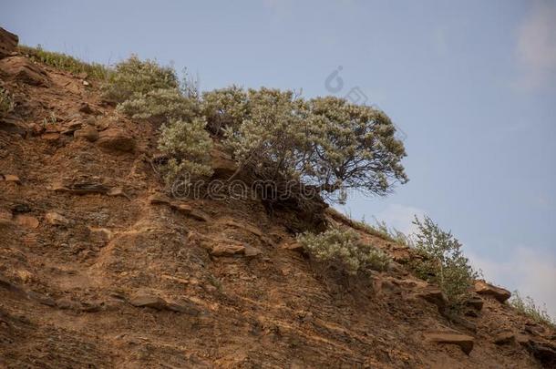 沙山和det.一些草本植物和蓝色天在上面.L和scapes.英语字母表的第2个字母