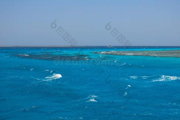 绿松石吞污水池和海珊瑚采用指已提到的人红色的海.晶体